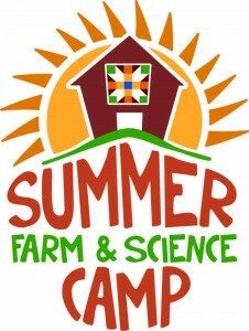 summercamp logo with 7th